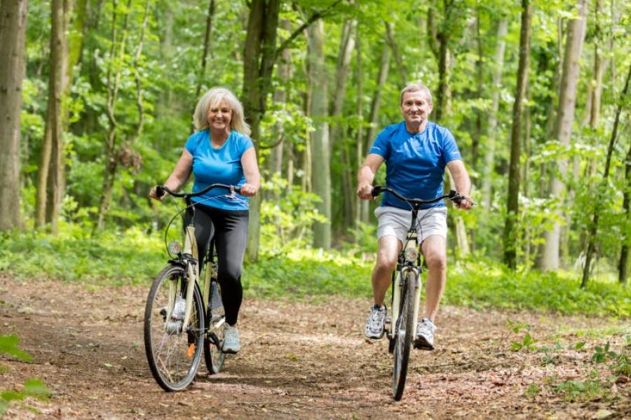 Bos-fietstocht 20 km – 50+ © canva