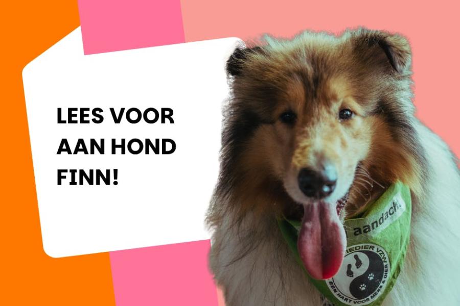 Lees voor aan hond Finn! © bib