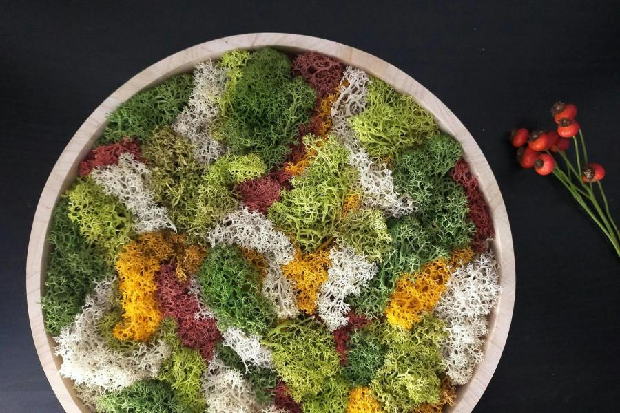 Mosschilderij maken © Ateliet Leut