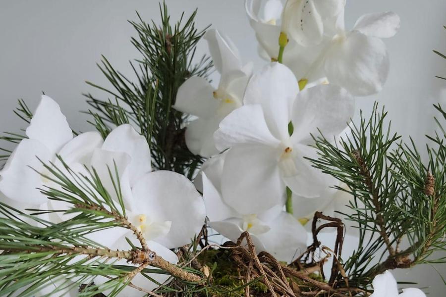 Winters bloemstuk met Vanda orchideeën - Ben Vanhoo © onbekend