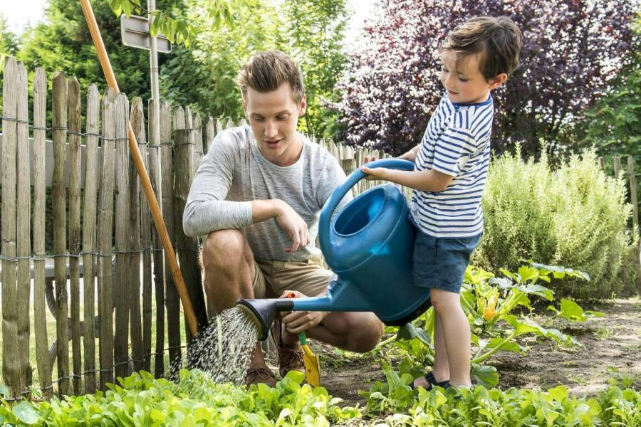 Zitdag groeipakket © Fons