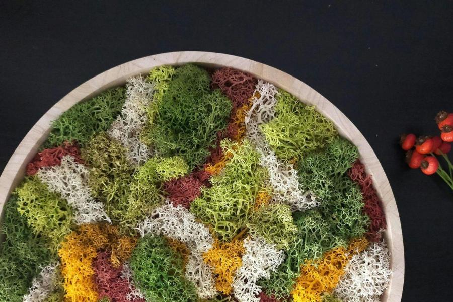 Mosschilderij maken - Atelier Leut © onbekend