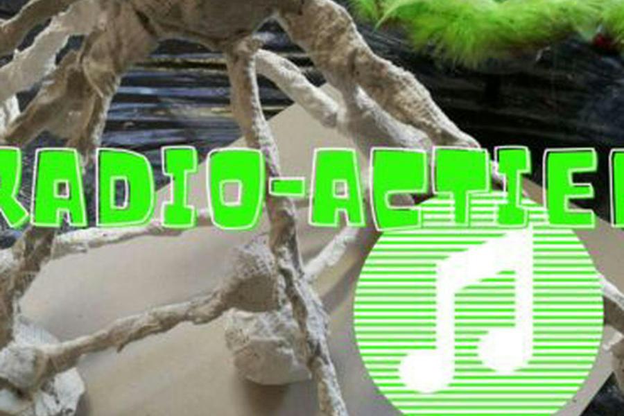 Radio-actief Halle Zomer 3 - 2026 © Panta Rhei vzw