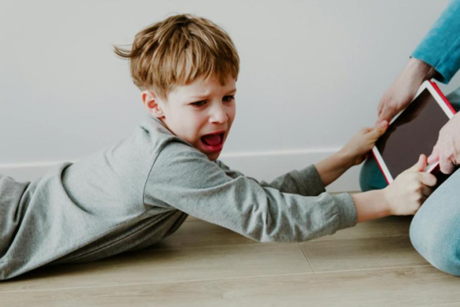 Verbindende communicatie: Mijn gezin in interactie - Fran Delbeke © onbekend