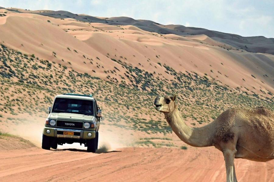 Oman & Dubai - Guido Vervoort © onbekend