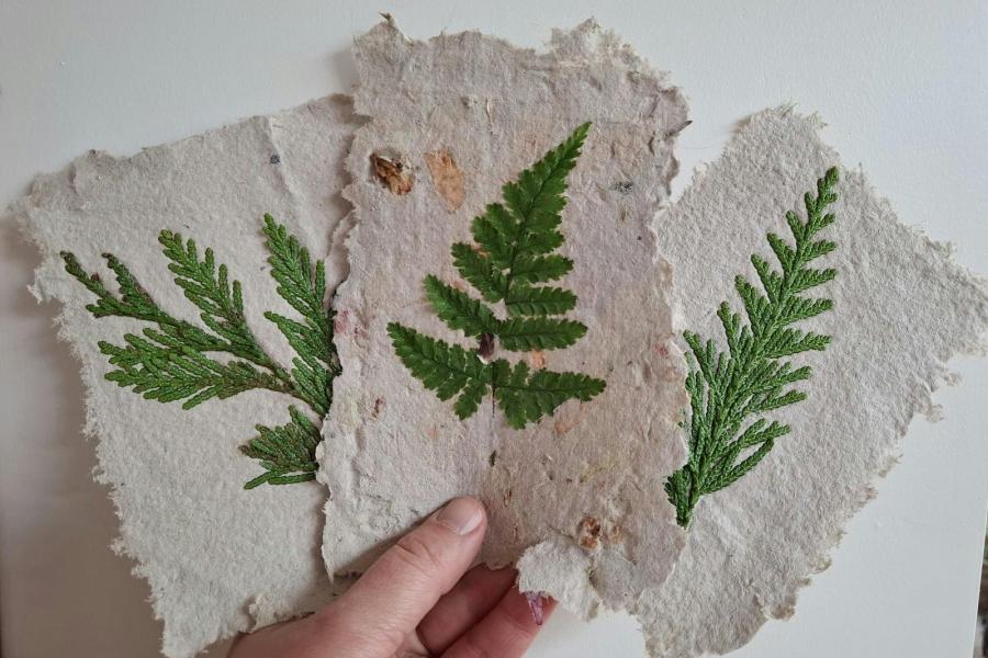 Natuurlijk papier maken © Floresana