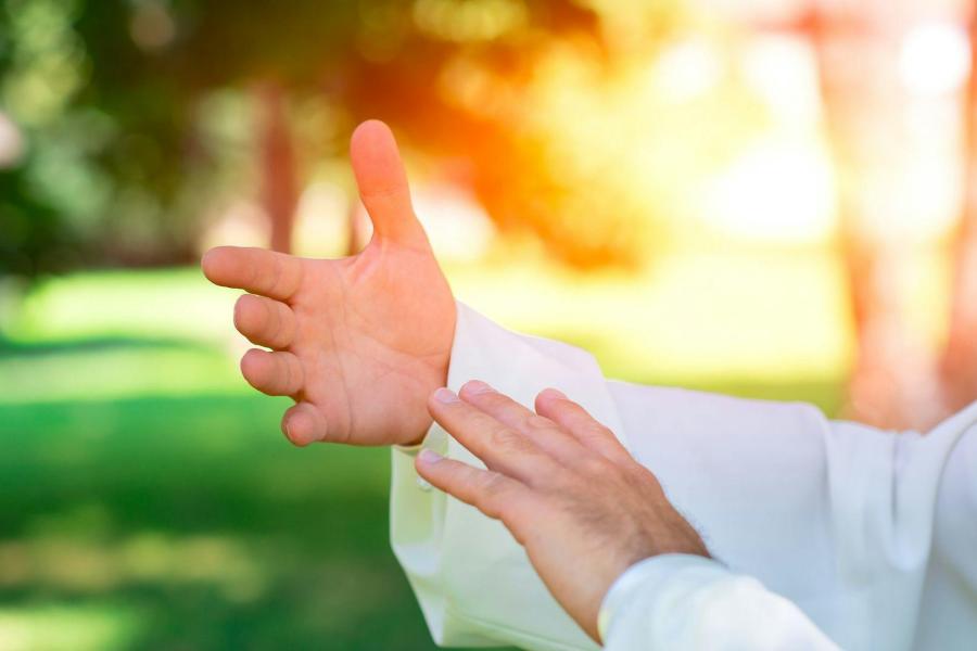 Tai Chi - Alex Hauwaert © onbekend