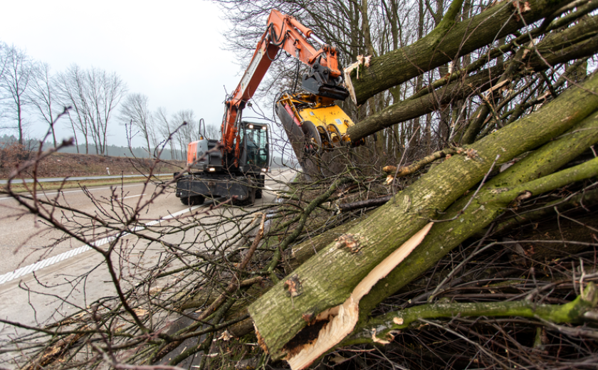 bomen hakken langs weg (c)Wegen en verkeer