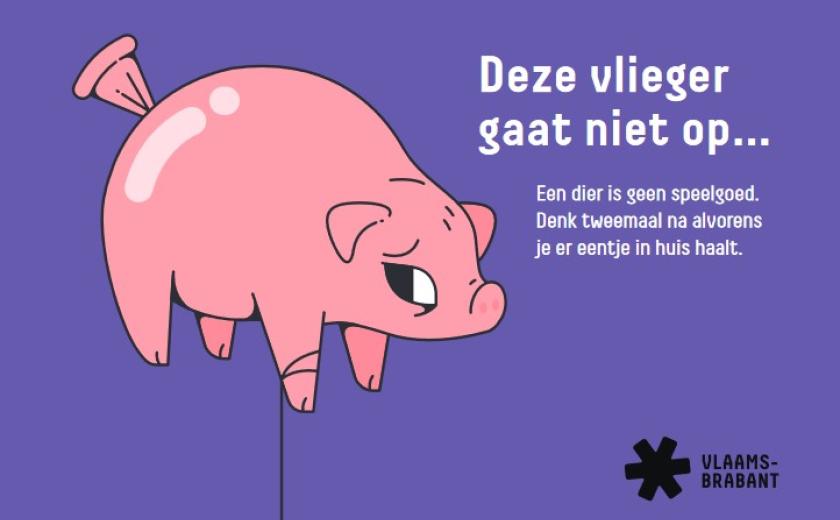 flyer campagne provincie huisdier