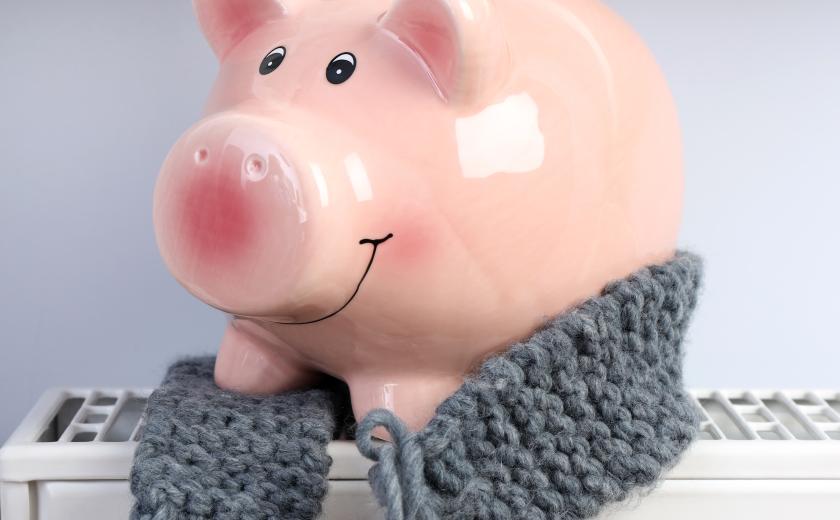 spaarvarken met sjaal