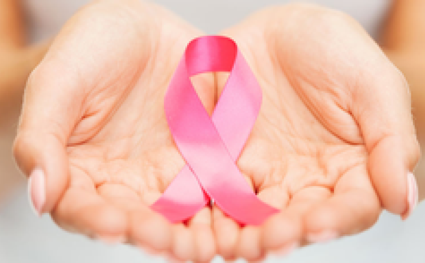 roos lintje in handen