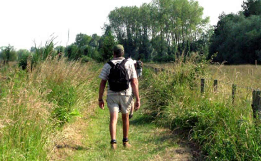 wandelaar in een trage weg