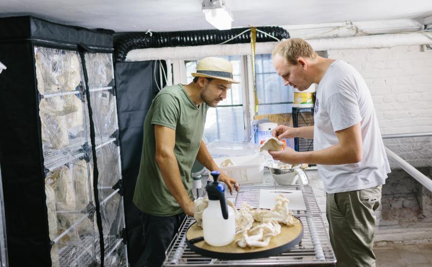 Broed (c) Kevin Faignaert