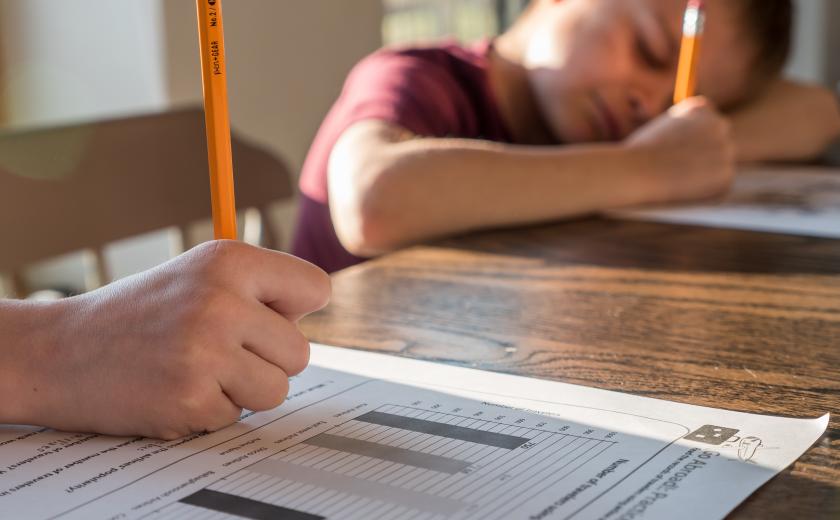 Huiswerk begeleiding