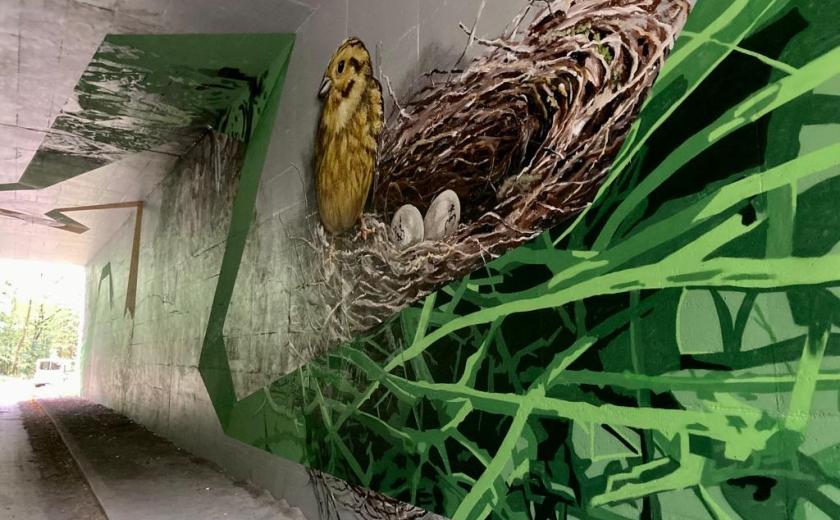 Viva Pintura en MASSI toverden de grijze muren van de ecotunnel aan de Pijpaenshoek om tot een mooi kunstwerk.