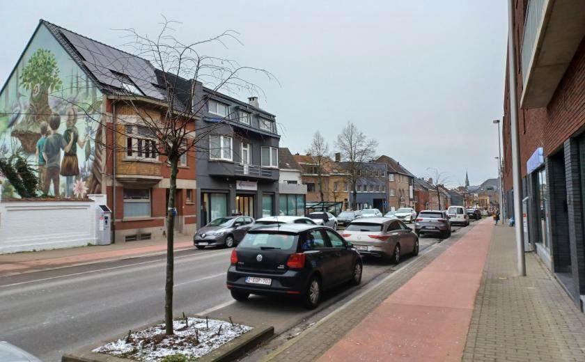 Lindebomen op de Bergensesteenweg