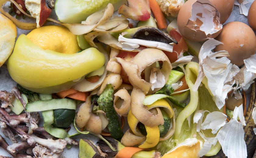 gft image by freepik