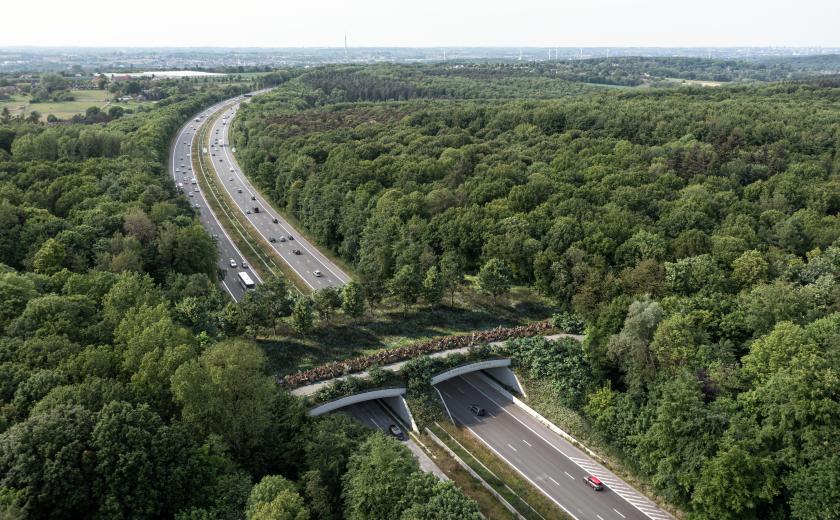 ecoduct