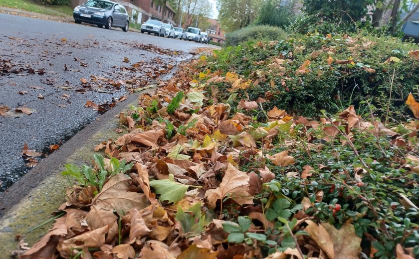 bladeren op de stoep en op de straat