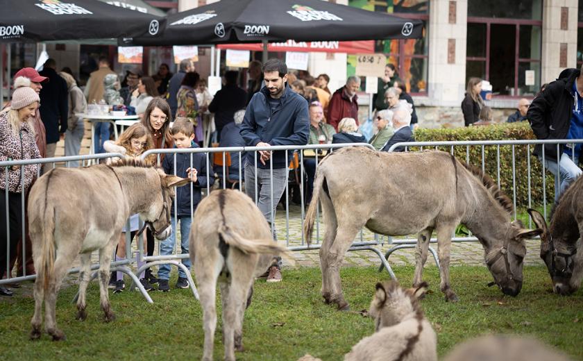 jaarmarkt Lembeek (c)Layla Aerts