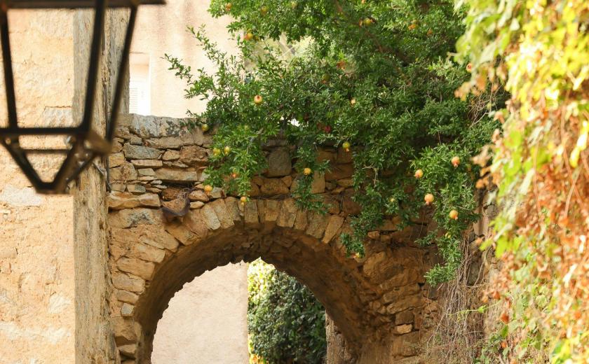 Grilli - L'Alba © © Stalla Chahmirian