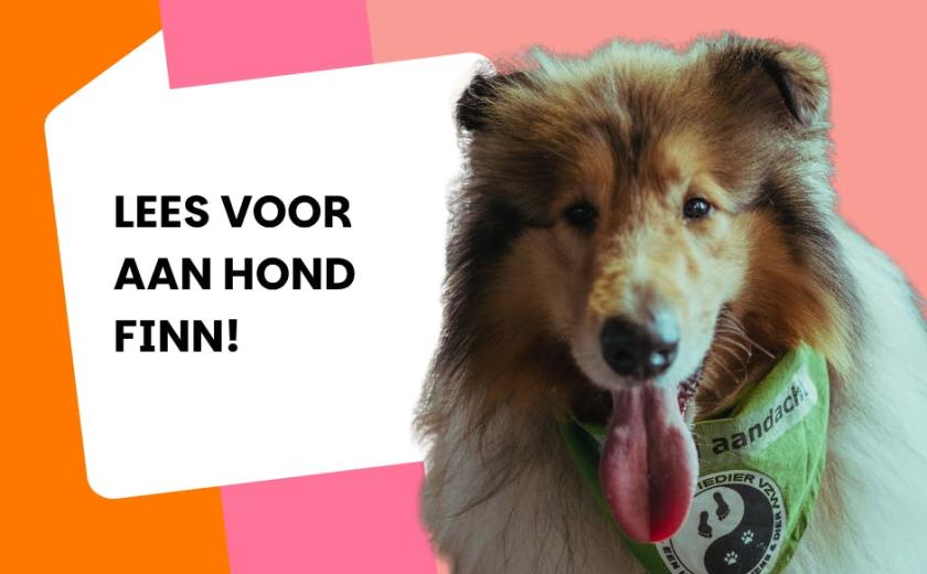 Lees voor aan hond Finn! © bib