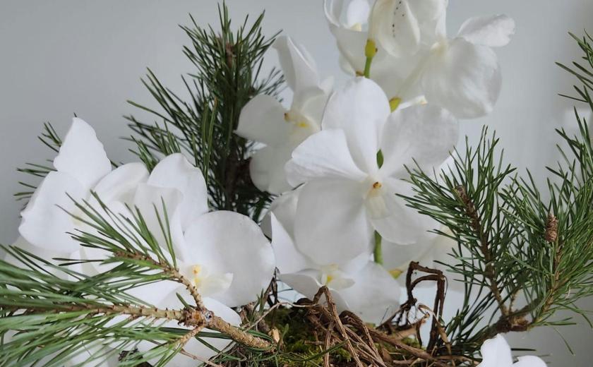 Winters bloemstuk met Vanda orchideeën - Ben Vanhoo © onbekend