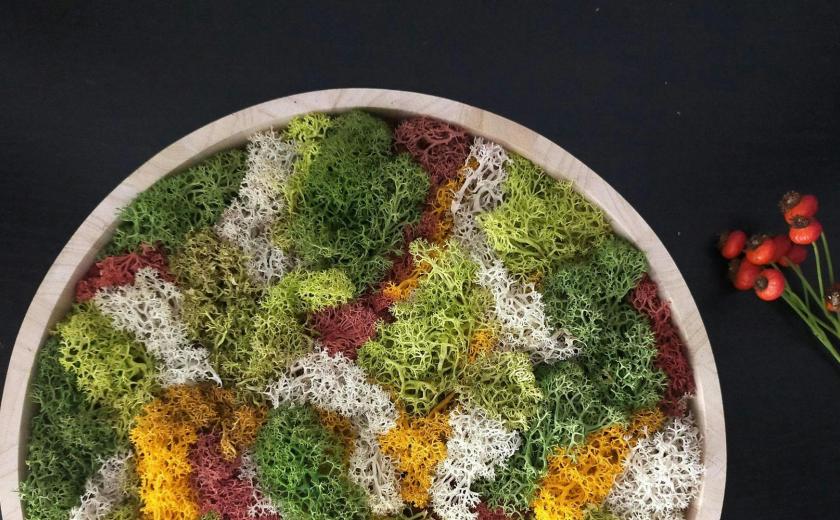 Mosschilderij maken - Atelier Leut © onbekend