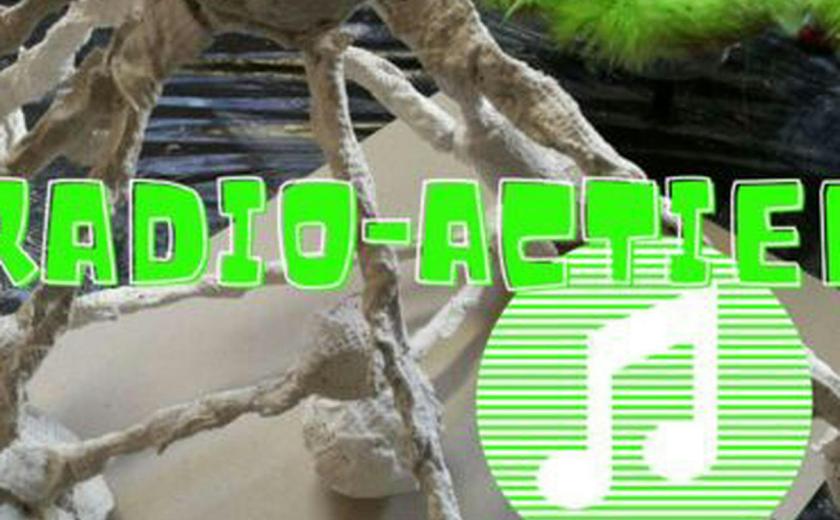 Radio-actief Halle Zomer 3 - 2026 © Panta Rhei vzw