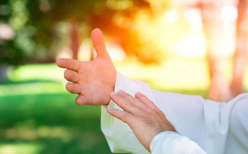 Tai Chi - Alex Hauwaert © onbekend