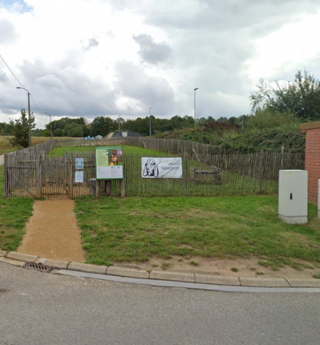 Hondenloopweide Kruisveld