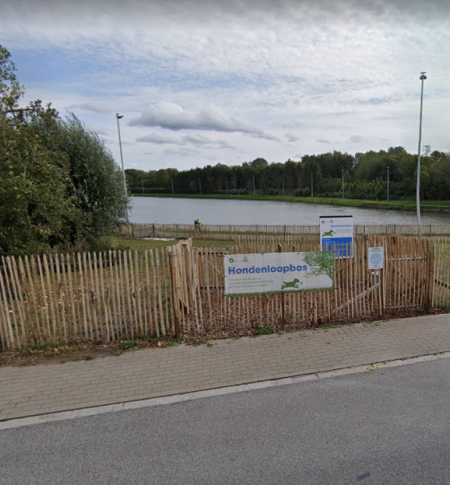 Hondenloopbos Heldenstraat