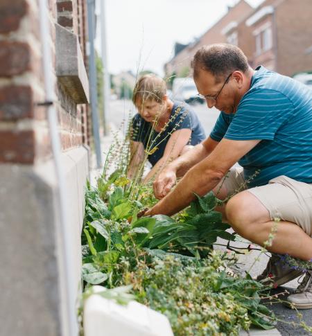Tegeltuin (c) Kevin Faignaert