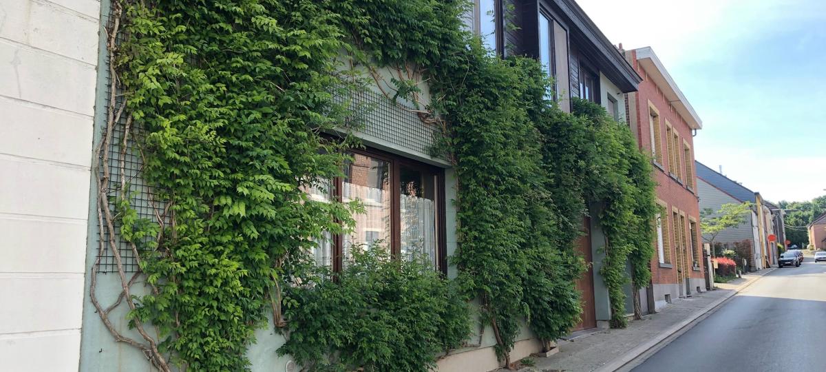 Tegeltuin Essenbeek (7))